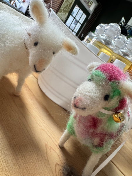 February: Scheduled Classes