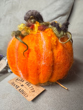 Felted Critter