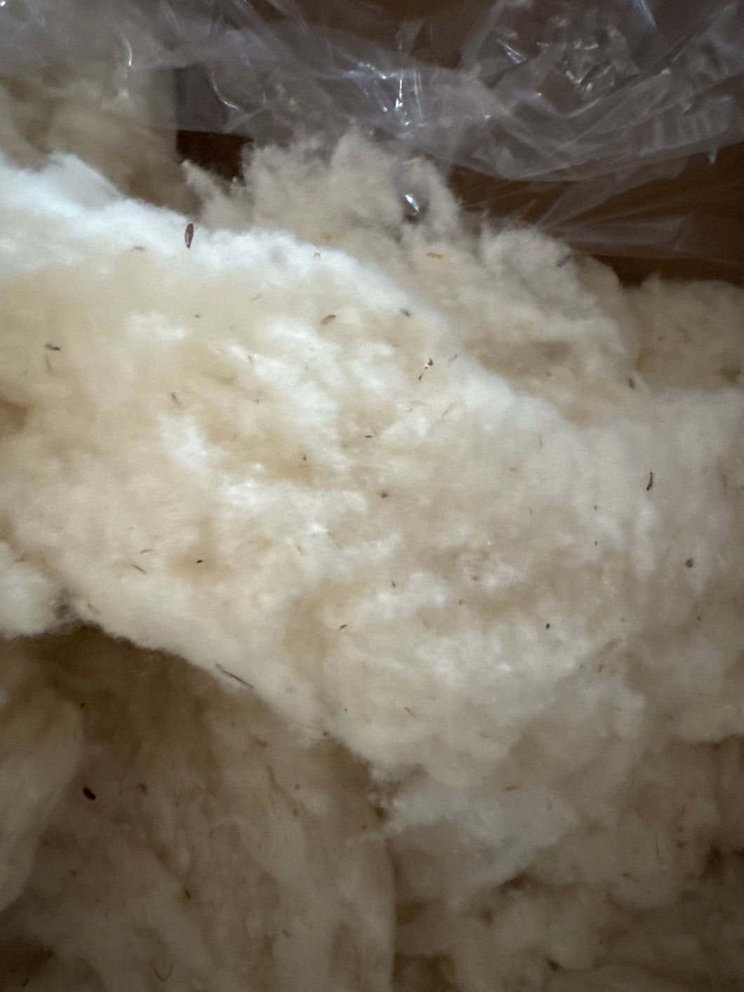 Wool Stuffing