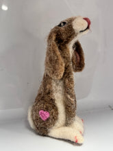 CLASS - needle felting Moon Gazing Hare