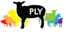 PLY magazine