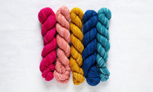 Manos Del Uruguay FINO Mini Skein Kit