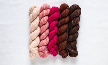 Manos Del Uruguay FINO Mini Skein Kit