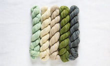 Manos Del Uruguay FINO Mini Skein Kit