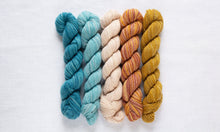 Manos Del Uruguay FINO Mini Skein Kit