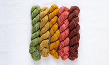 Manos Del Uruguay FINO Mini Skein Kit