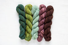 Manos Del Uruguay FINO Mini Skein Kit