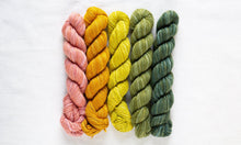 Manos Del Uruguay FINO Mini Skein Kit