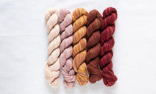 Manos Del Uruguay FINO Mini Skein Kit