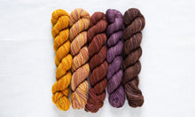 Manos Del Uruguay FINO Mini Skein Kit