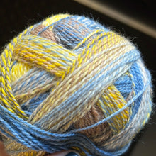 Schoppel Crazy Zauberball
