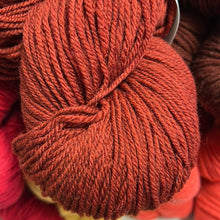 Brown Sheep Prairie Spun DK